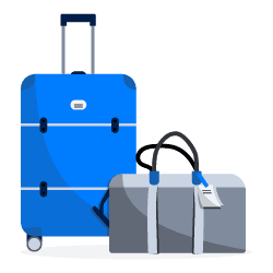 luggage shipping for expats