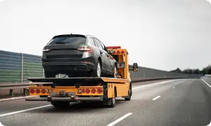 prevoz posameznega avtomobila